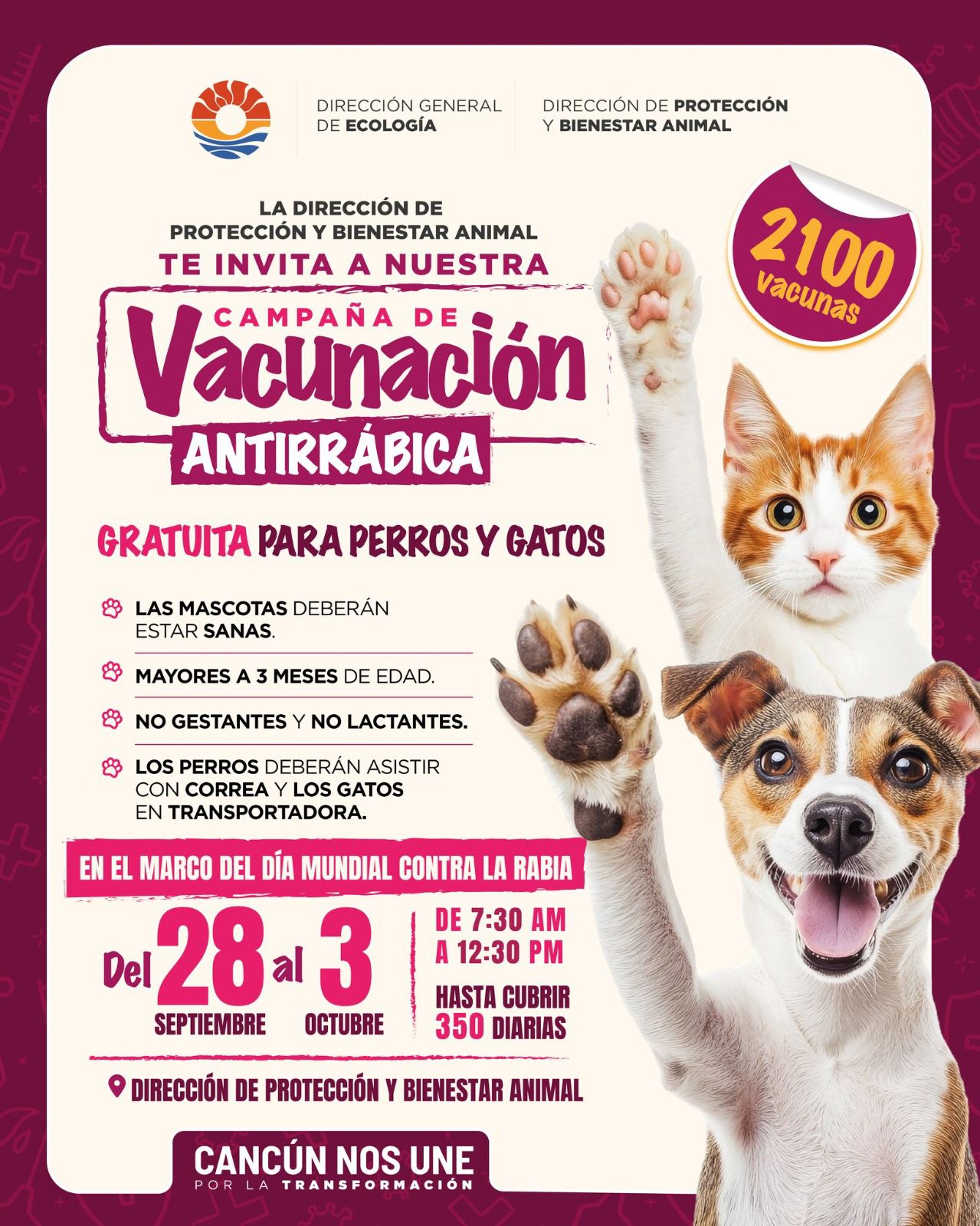 uploads/6/32/Cartel (110).jpeg